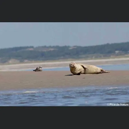 Couette-café Escale Beauté